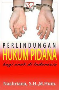 Perlindungan hukum pidana bagi anak Indonesia